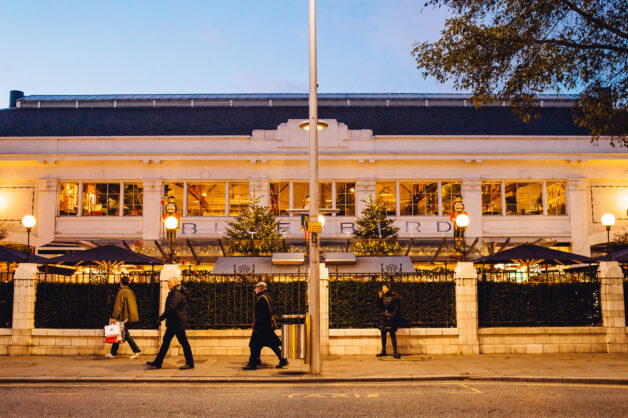 bluebird chelsea