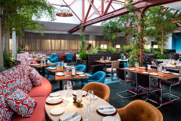 bluebird restaurant
